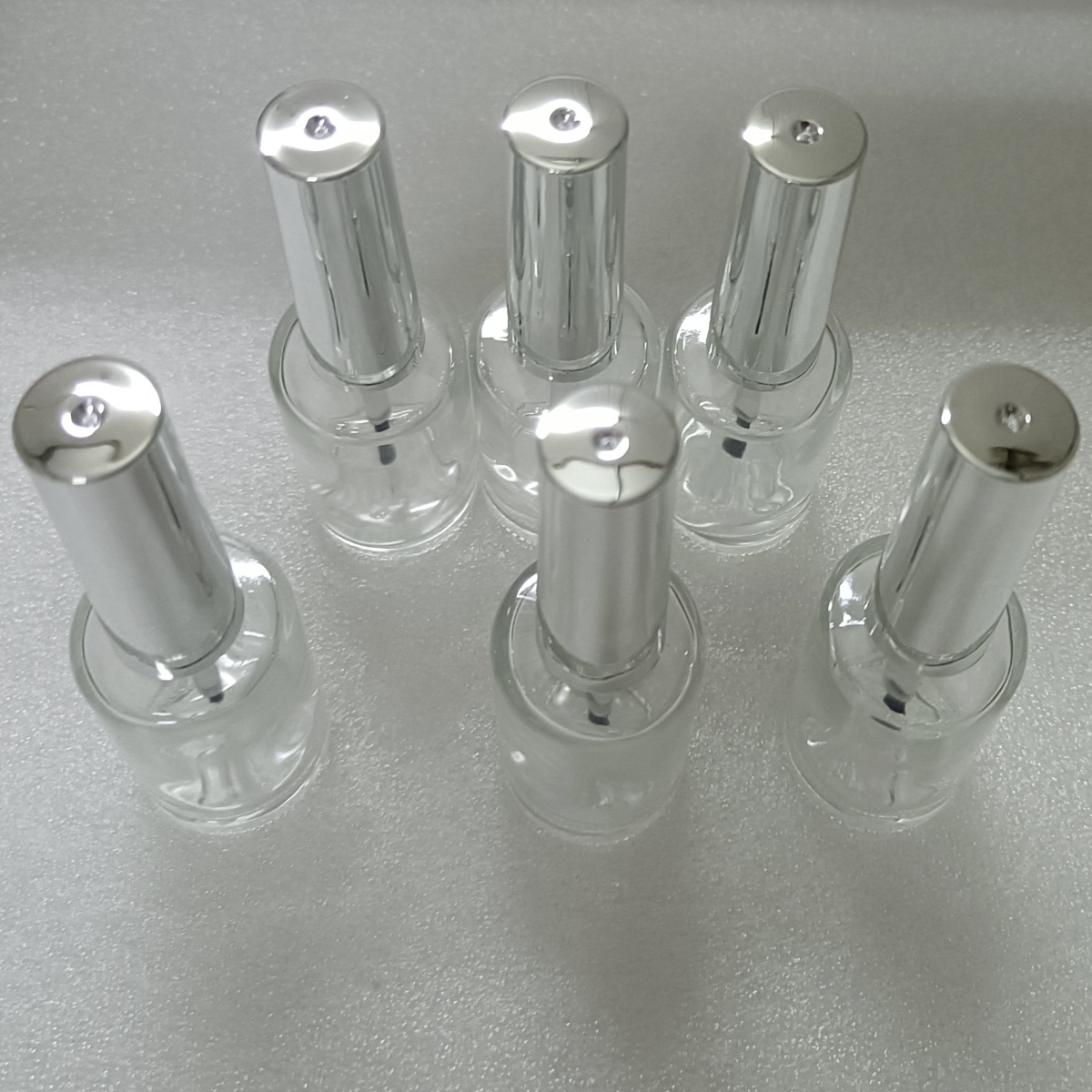 Nail Fan Brush - 13ml 6 Stück Klare Glasflaschen für