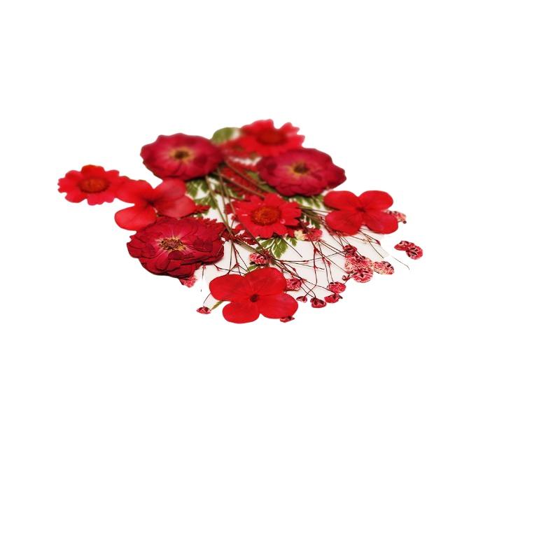 Echte Natürliche Gepresste Get – Nail Art Natural Bewertung und Preis