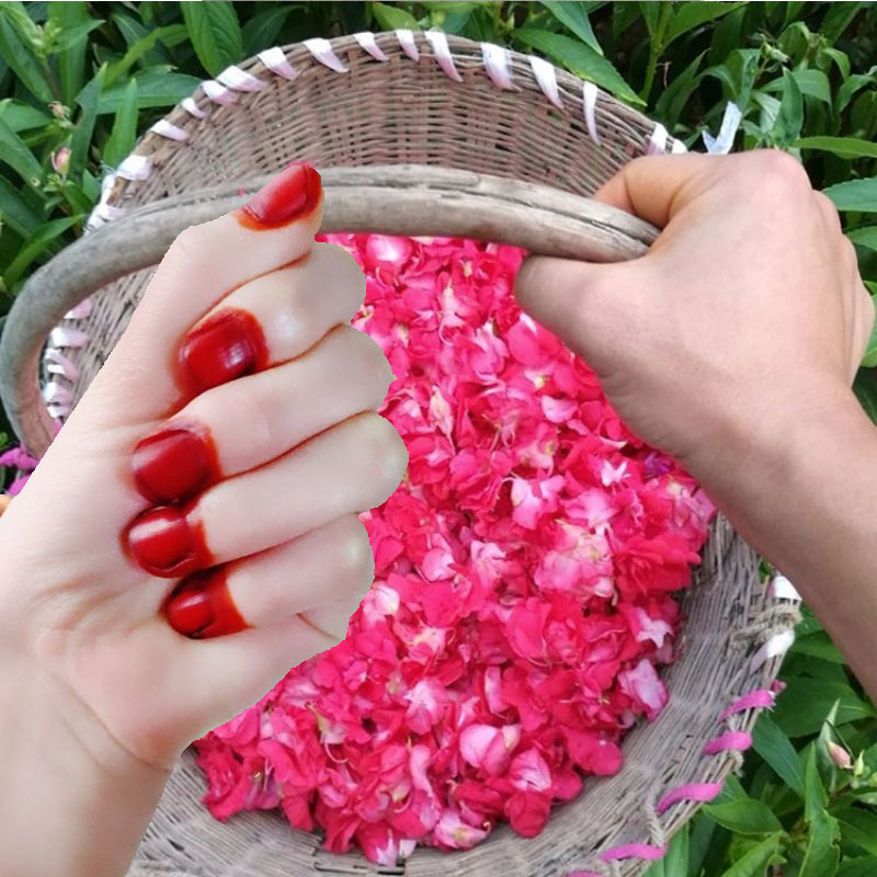 40g Henna Nagel Farbstoff Pulv – Nail Art Natural Bewertung und Preis